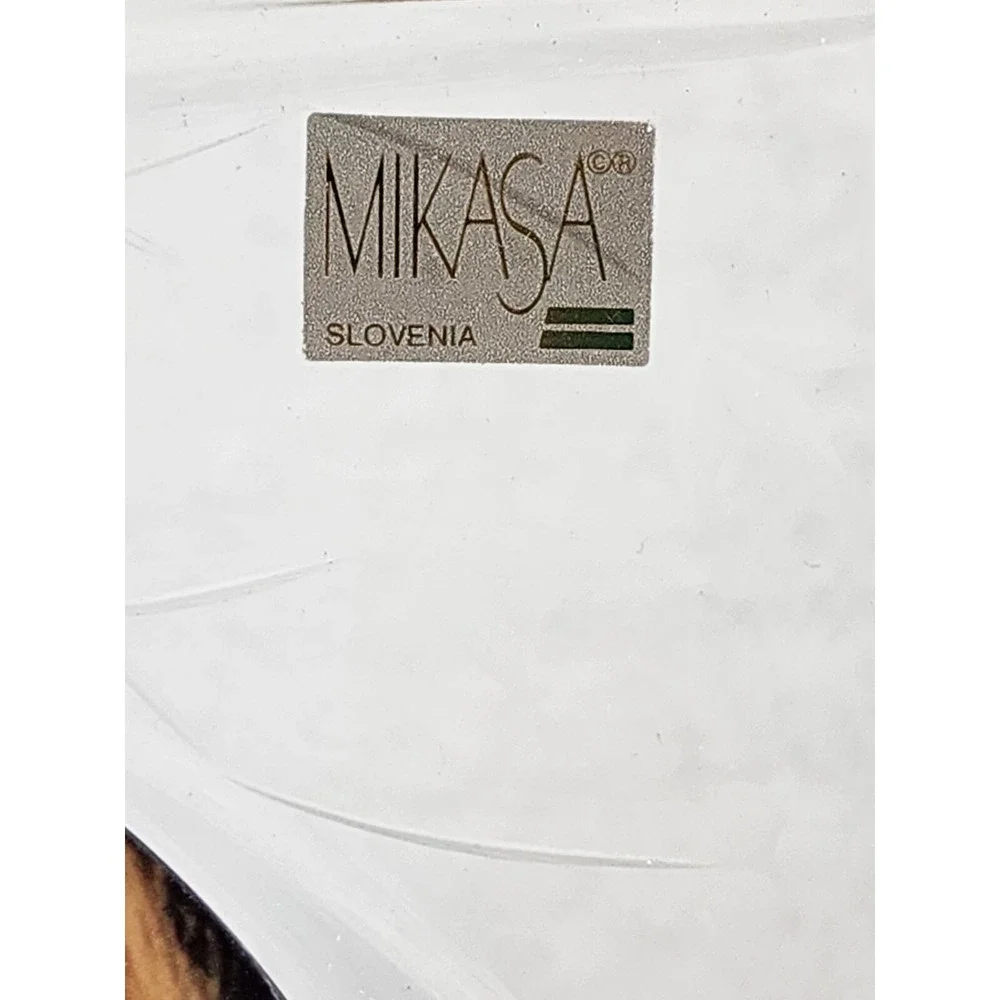 Mikasa Etched Frosted Floral Thick Glass Frame Square 8